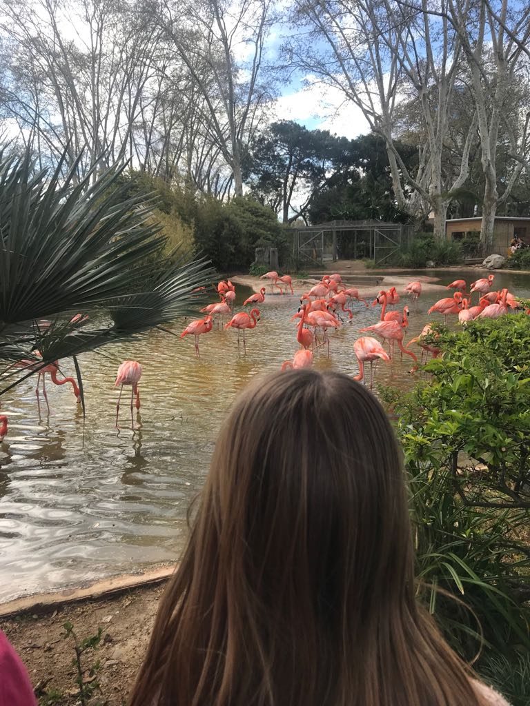 El zoo de Barcelona en familia