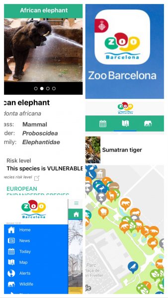 el zoo de Barcelona en familia