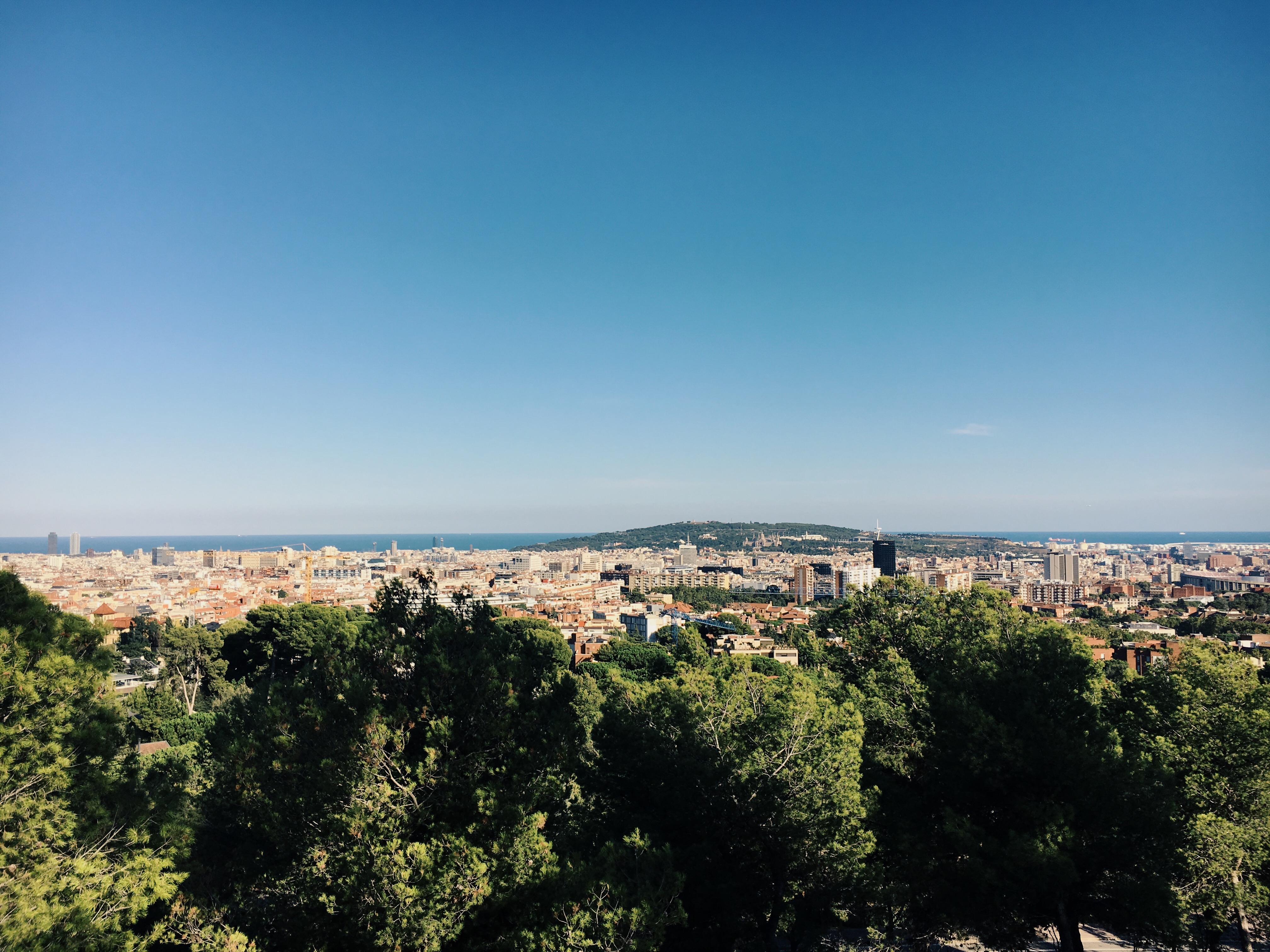 Things To Do in Barcelona with Kids