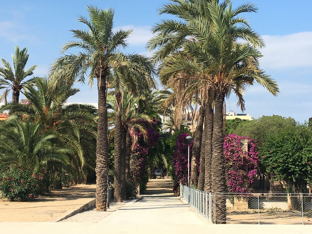 palmiers parc joan miro Barcelona Wink